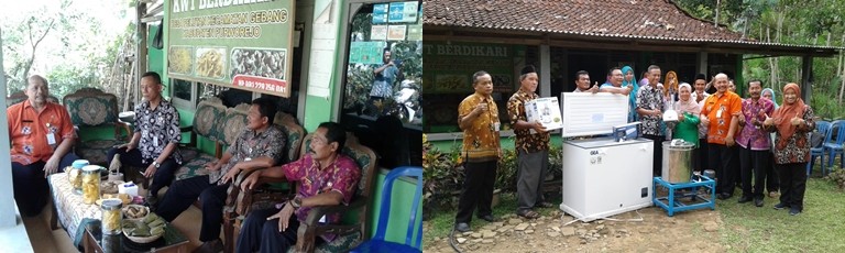 Penerimaan Bantuan untuk KWT Berdikari desa Pelutan dari DPPKP