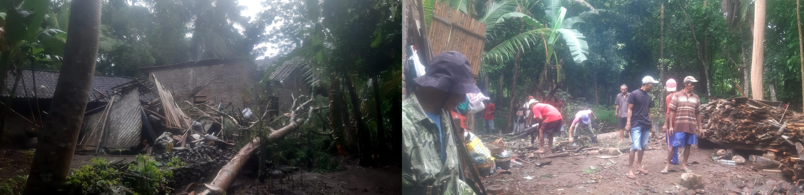 POHON TUMBANG MENIMPA RUMAH WARGA DESA NGEMPLAK