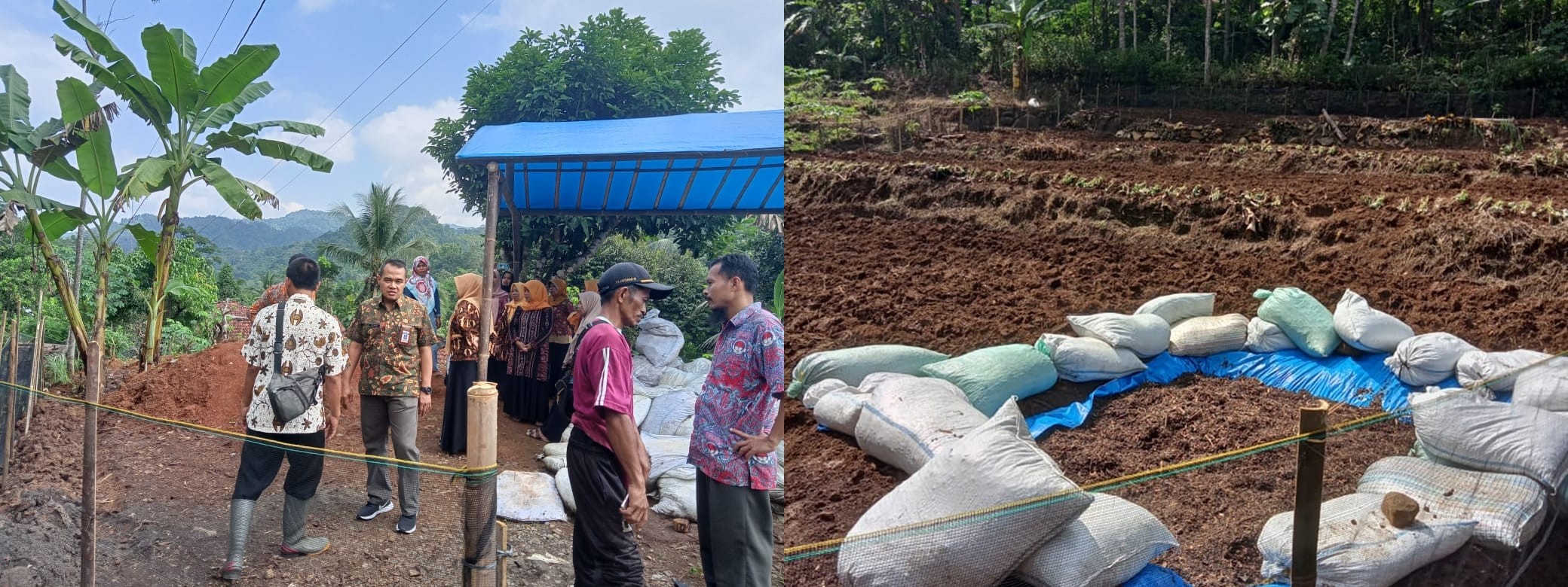 MENINJAU LOKASI PENANAMANAN BIBIT JAHE SEBAGAI PROGRAM KETAHANAN PANGAN DESA NGAGLIK