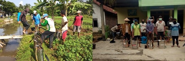 Penyemprotan_Hama_Wereng.jpg