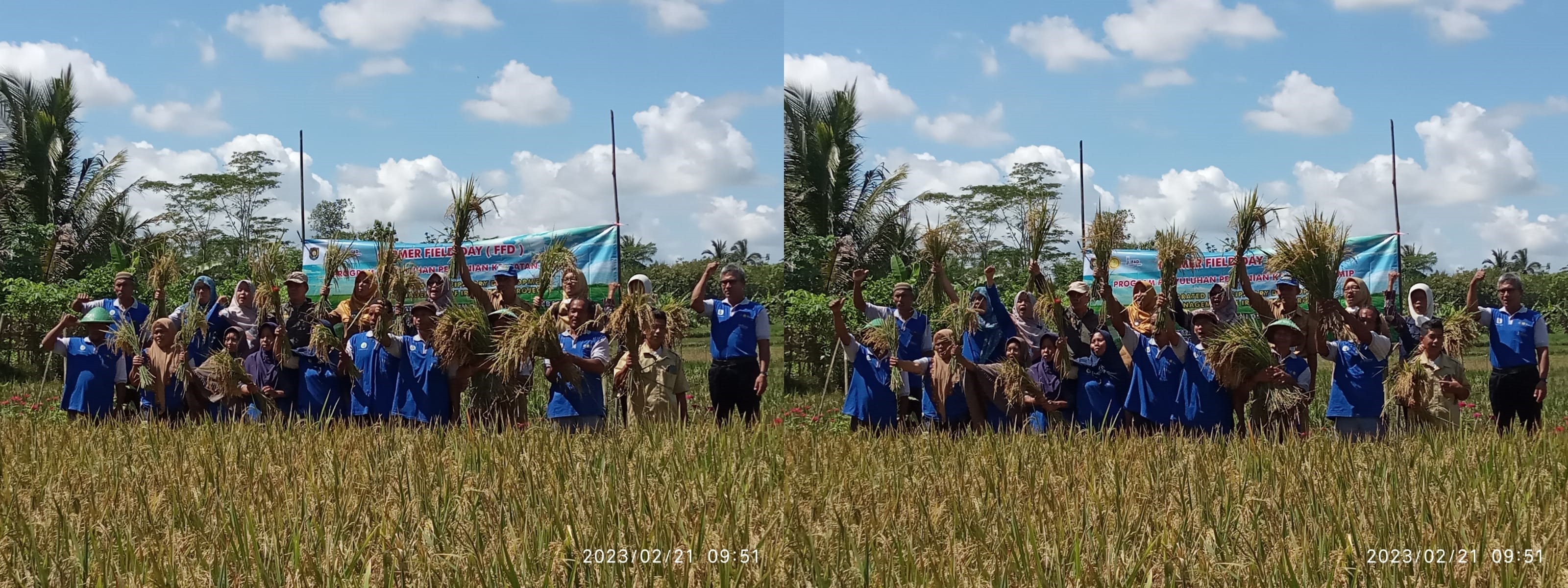 UBINAN KELOMPOK TANI KARYO TANI DESA PAKEM KECAMATAN GEBANG